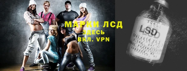 индика Богородск