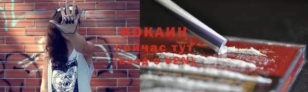 индика Богородск