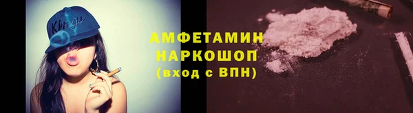 спиды Бородино