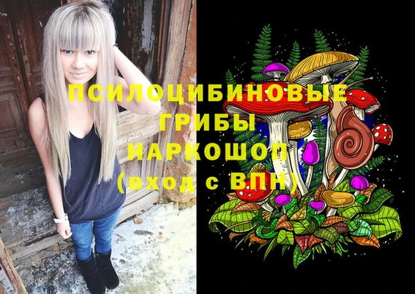 индика Богородск
