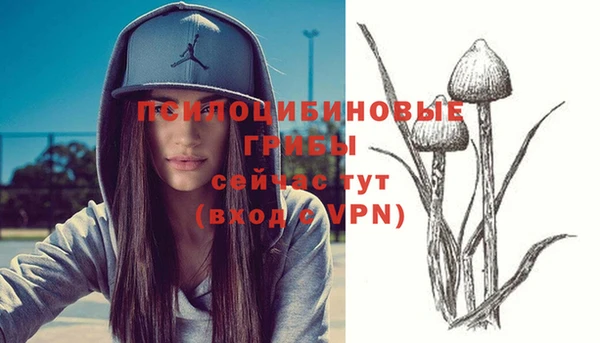 амф Богданович