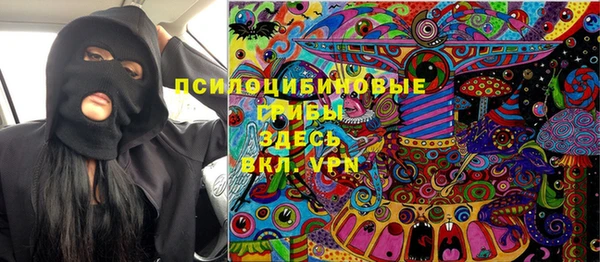 спиды Бородино