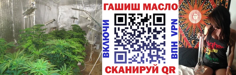 ТГК концентрат  hydra ТОР  Володарск 