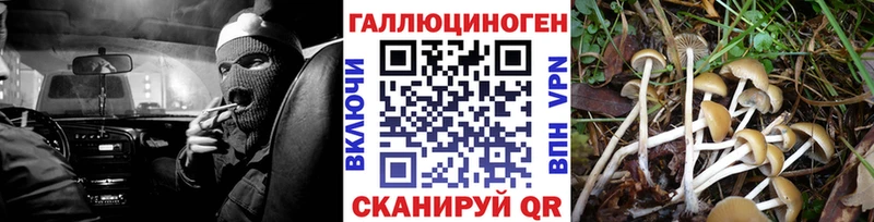 Псилоцибиновые грибы GOLDEN TEACHER  Володарск 