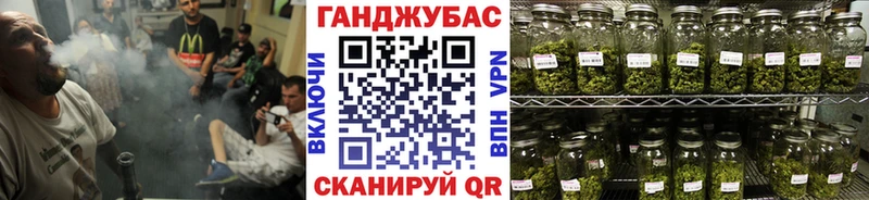 даркнет сайт Володарск Канабис индика